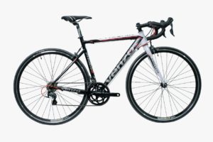 PHOENIX PRO (1)